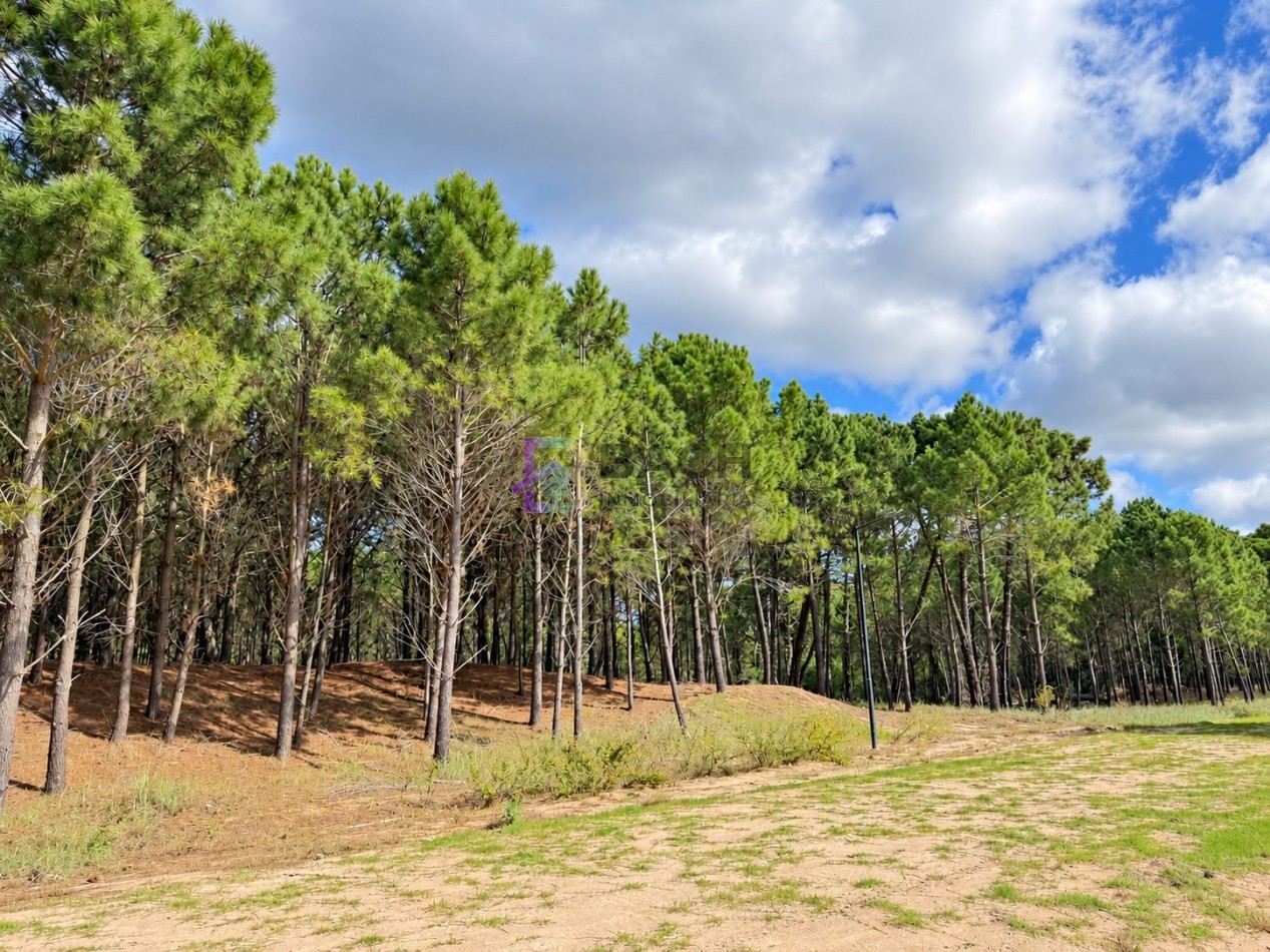 Lote en Venta Pinanar Norte Barrio Bosques 