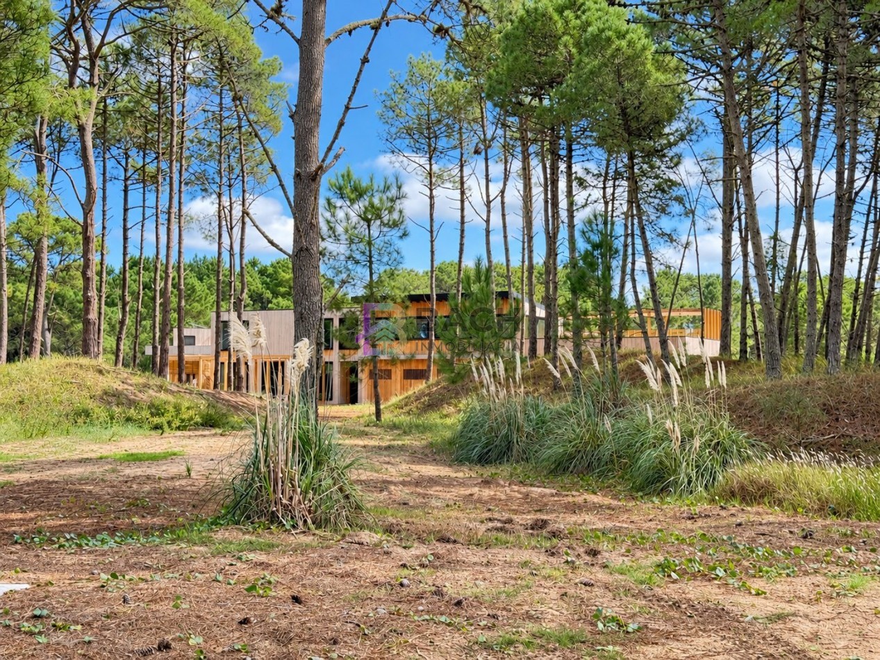 Lote en Venta Pinanar Norte Barrio Bosques 