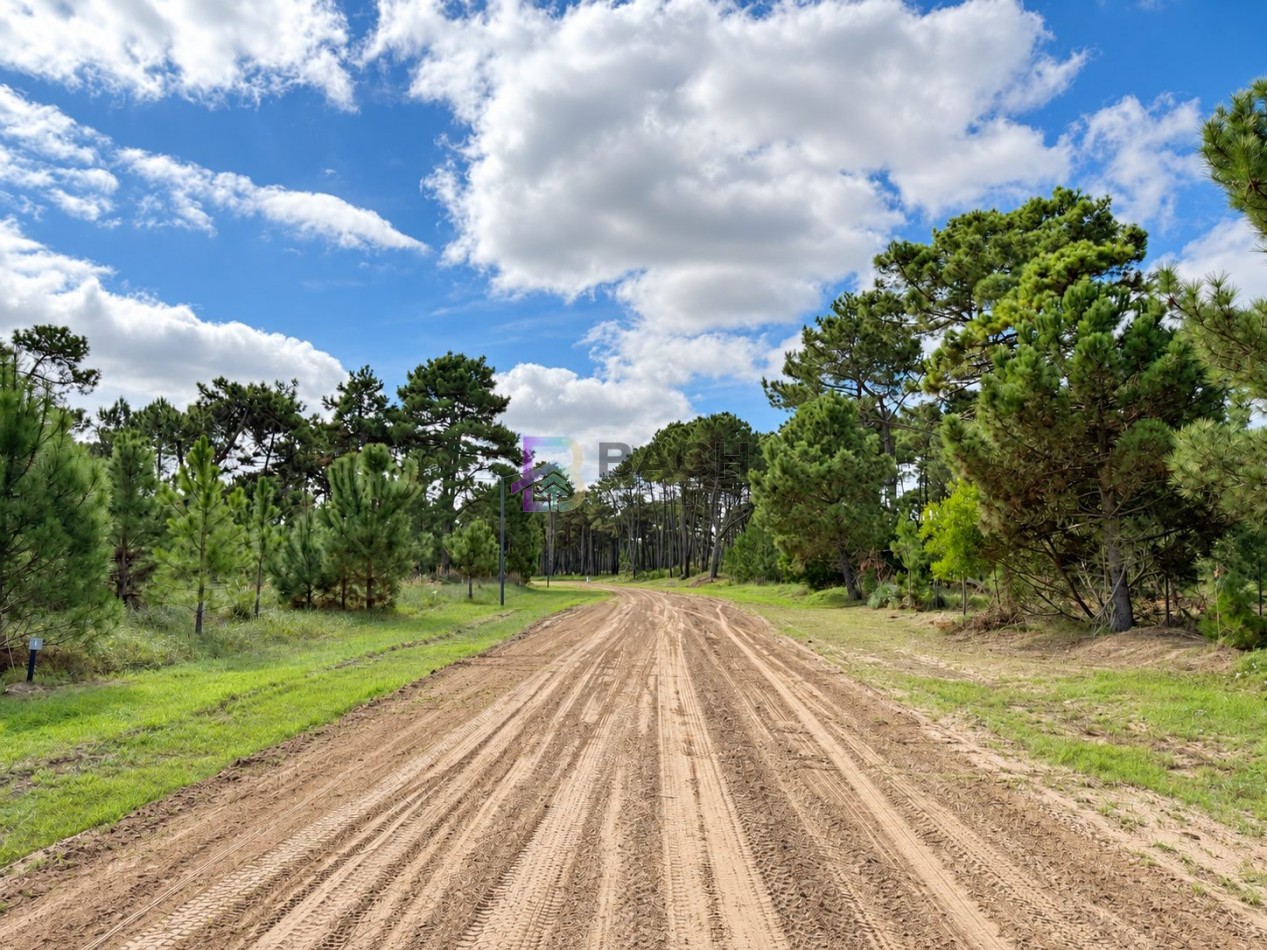 Lote en Venta Pinanar Norte Barrio Bosques 