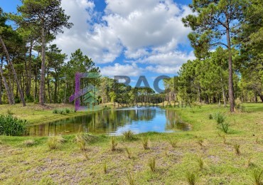 Lote en Venta Pinanar Norte Barrio Bosques 